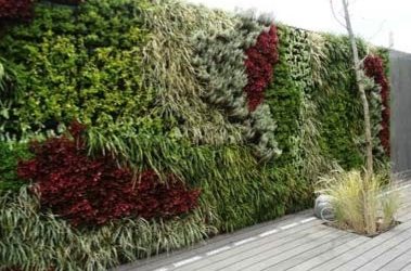 Características de las fachadas ecológicas con cubiertas vegetales